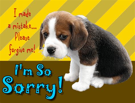 sorry animated gif|im sorry cute gif.